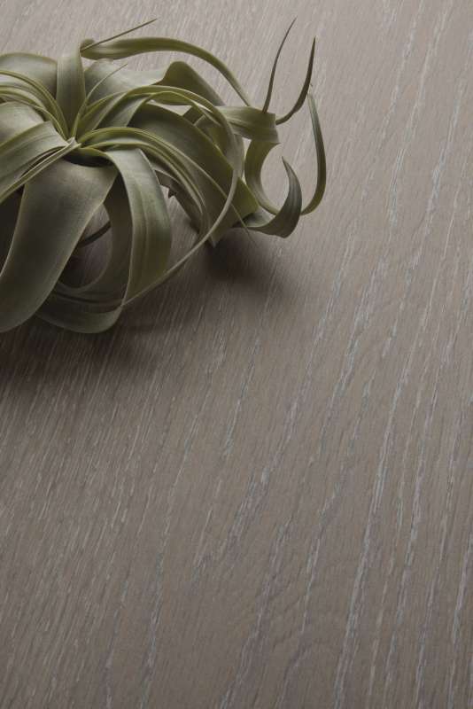 Graue Holzoptik-Fliese mit feiner Maserung, dekoriert mit einer Tillandsie.
