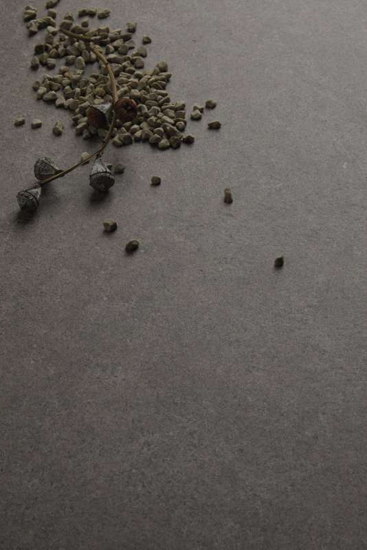 Anthrazitfarbene Feinsteinzeugfliese mit feiner Textur, dekoriert mit Naturmaterialien.