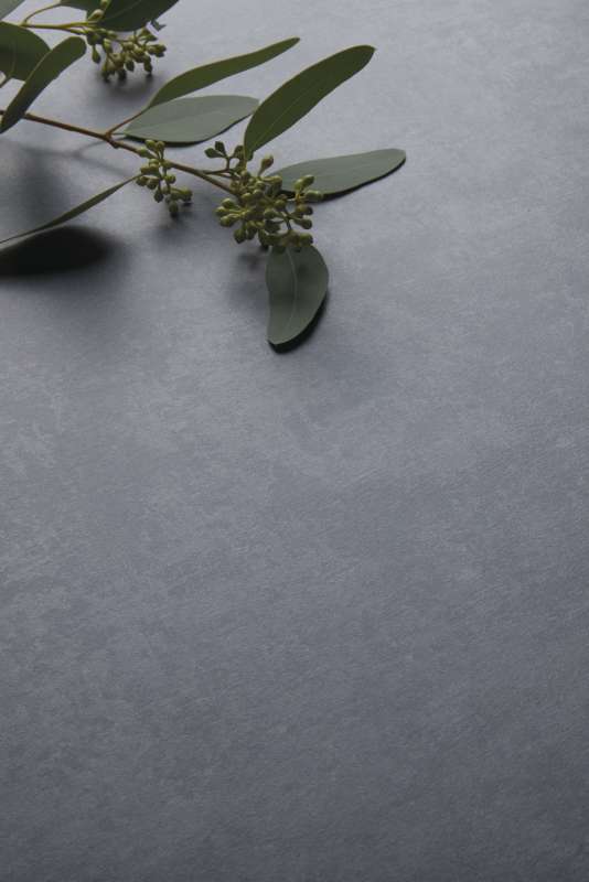 Hochwertige, dunkelgraue Fliese in Natursteinoptik, dekoriert mit einem Eukalyptuszweig.