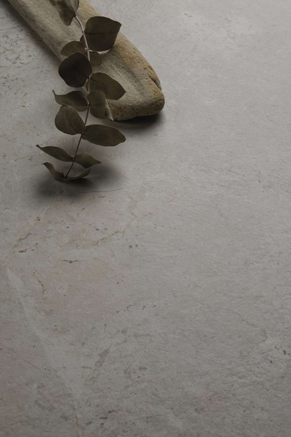 Helle, strukturierte Fliese in Steinoptik, dekoriert mit Treibholz und Eukalyptus.