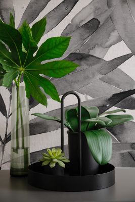 Dekorative Pflanzen und moderne Wandgestaltung in Schwarz-Weiß.