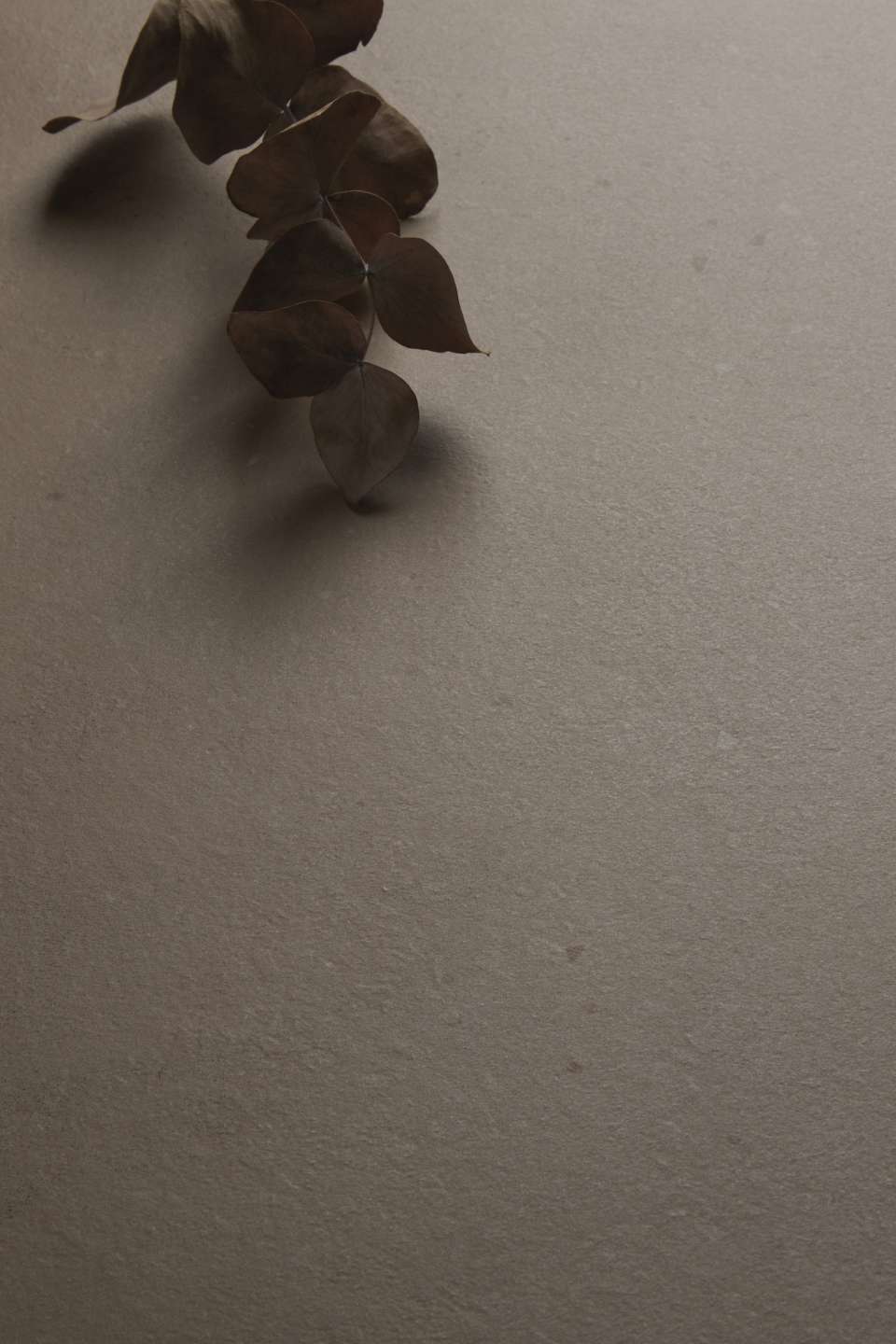 Beige Fliesenoberfläche mit getrockneten Blättern.