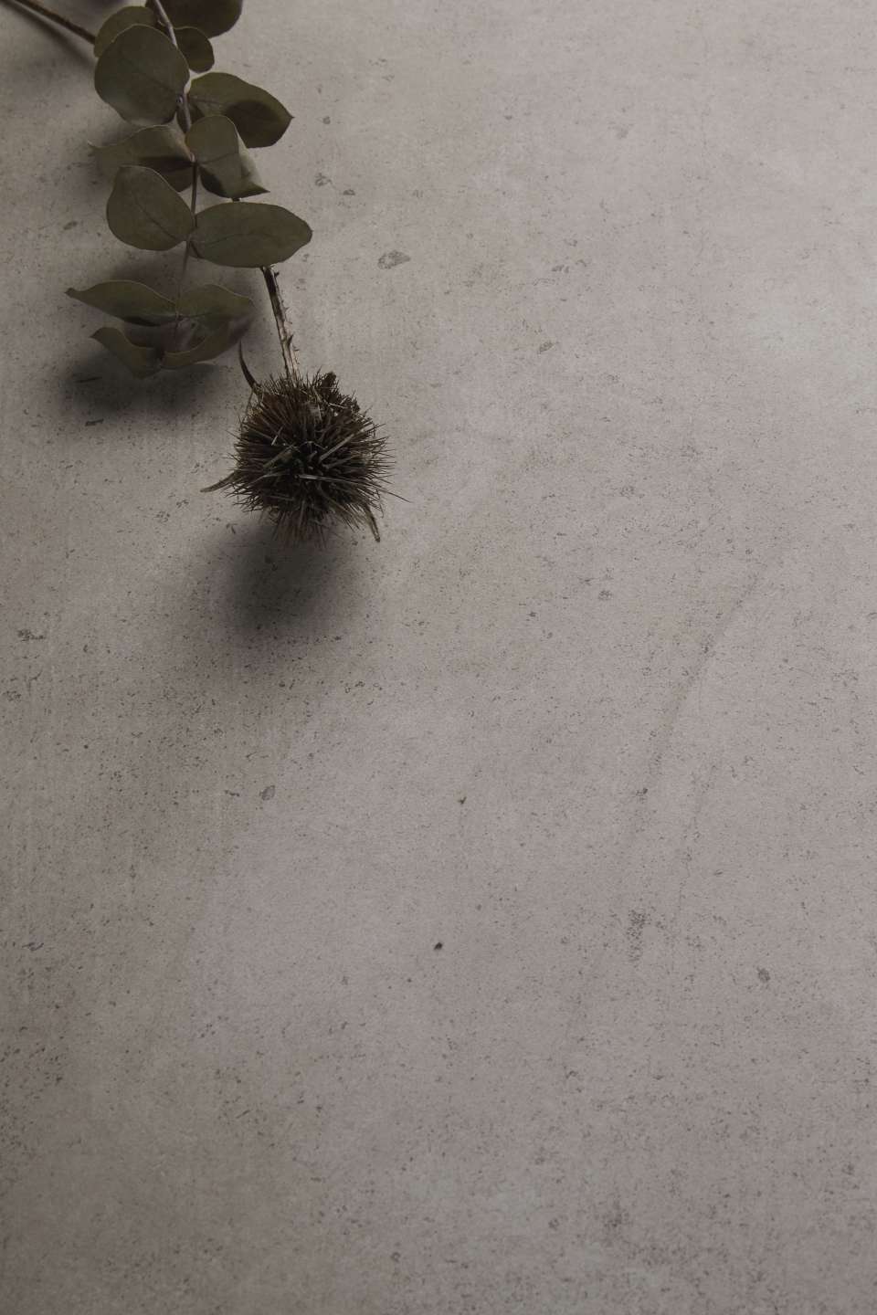 Natürlicher Zweig auf eleganter, hellgrauer Fliese mit Struktur.
